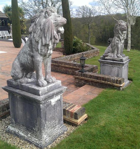 A pair of a 17th century Italian style composite lions sejant overall height 62ins.